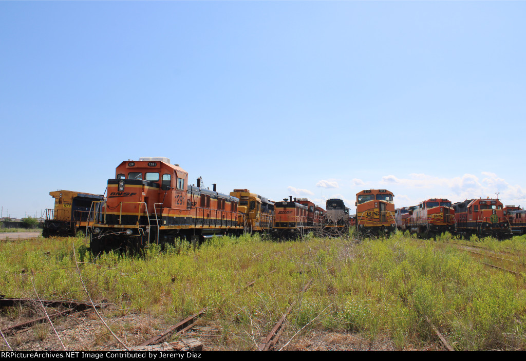 BNSF Diverse Collection